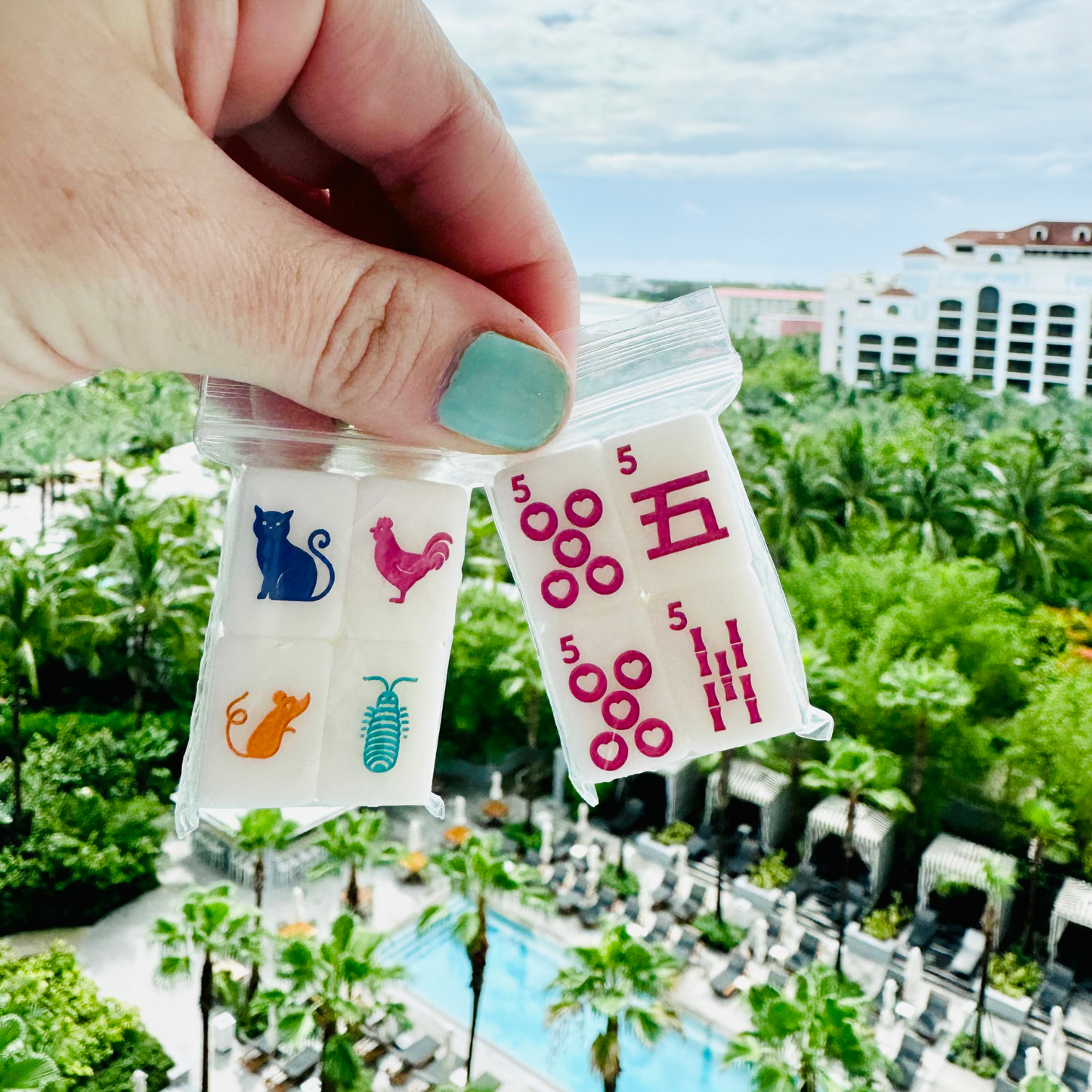 RIICHI & SINGAPOREAN ANIMAL TILE ADD-ON | (PRE-ORDER) MINI ANYWHERE SERIES- Tiny Travel Mahjong Set | Small Size (0.8"x0.5"x0.4")